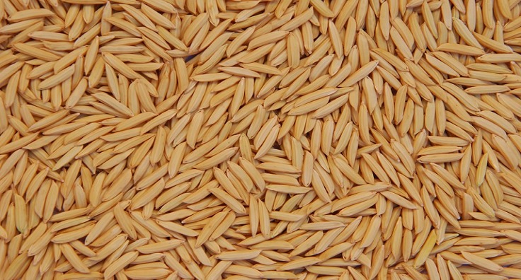 ₢ Agência Embrapa