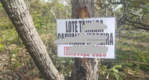 Grilagem em território reivindicado pelos Akroá-Gamella de Uruçuí e Guegue do Sangue tem distribuição de placas com nomes e telefones dos beneficiados. Foto: Comunidade Akroá-Gamella