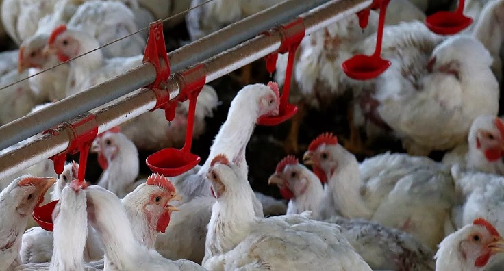 ₢ Foto: REUTERS/Rodolfo Buhrer