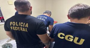 ₢ Divulgação